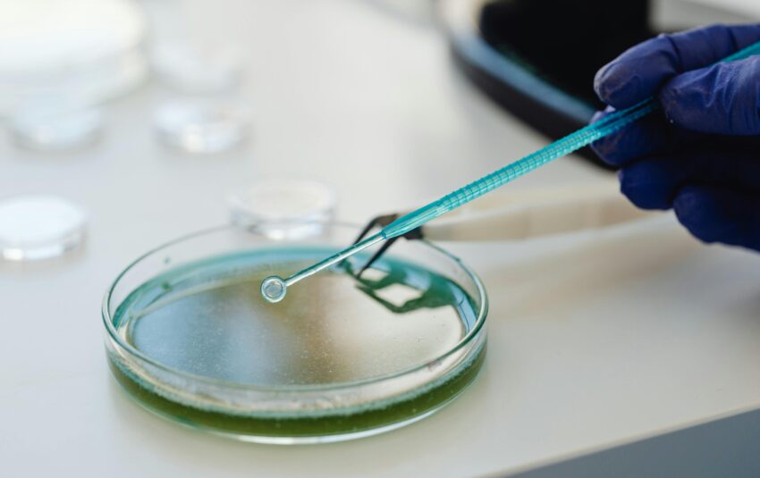 equipamentos de análise de partículas